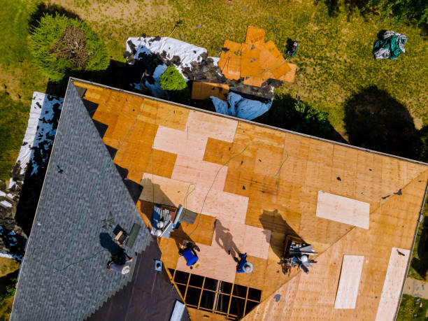 Best Roof Leak Repair  in Zebulon, GA